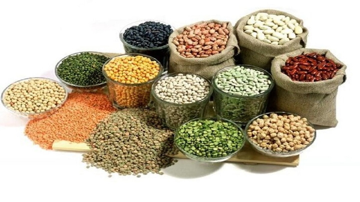 باشگاه خبرنگاران -افزایش ۱۱۳ درصدی تولید حبوبات در آذربایجان شرقی