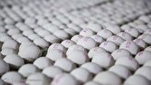 محاصره دریایی خللی در تولید تخم مرغ ایجاد نکرده است