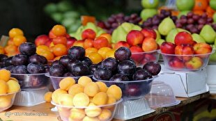علت نوسانات قیمت میوه در بازار چیست؟