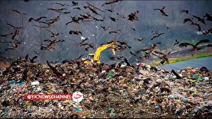 تحلیل خبر: اعتبار ۲ همتی برای ساماندهی پسماند بابل + فیلم | باشگاه خبرنگاران جوان - کد 8628