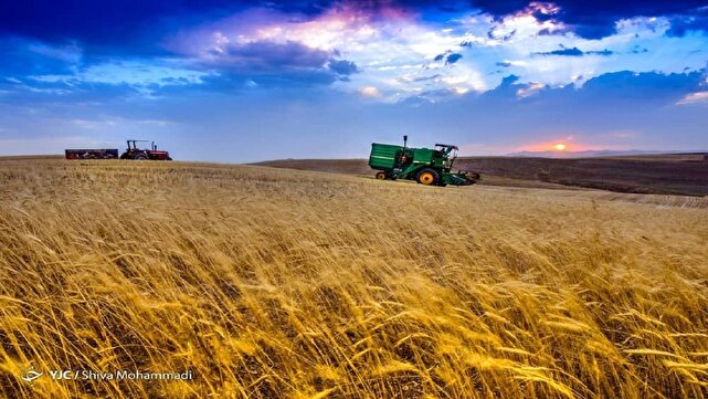 وعده پرداخت مطالبات تا پایان شهریور محقق می‌شود؟