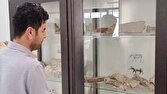 موزه فسیل مراغه‌ گنجینه‌ای منحصر‌به‌فرد از نمونه‌های مهره داران