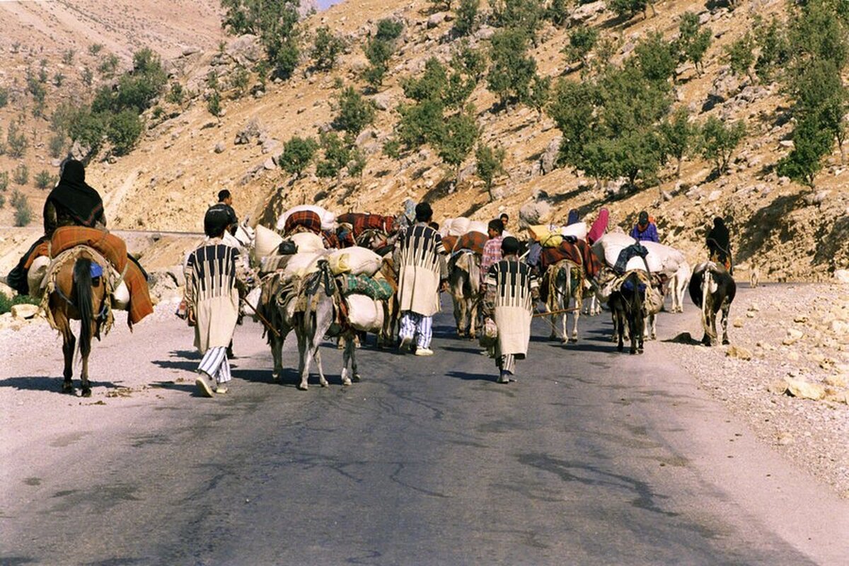 باشگاه خبرنگاران -روایتی از کوچ عشایر به مناطق قشلاقی + فیلم