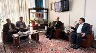 برنامه مرکز ملی فرش برای تحول در کردستان؛ تاکید بر آمایش سرزمینی و توسعه خوشه صنعتی