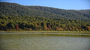 گزارش تحلیلی: آخرین جزئیات از حادثه آب‌بندان الندان ساری | باشگاه خبرنگاران جوان - کد b844