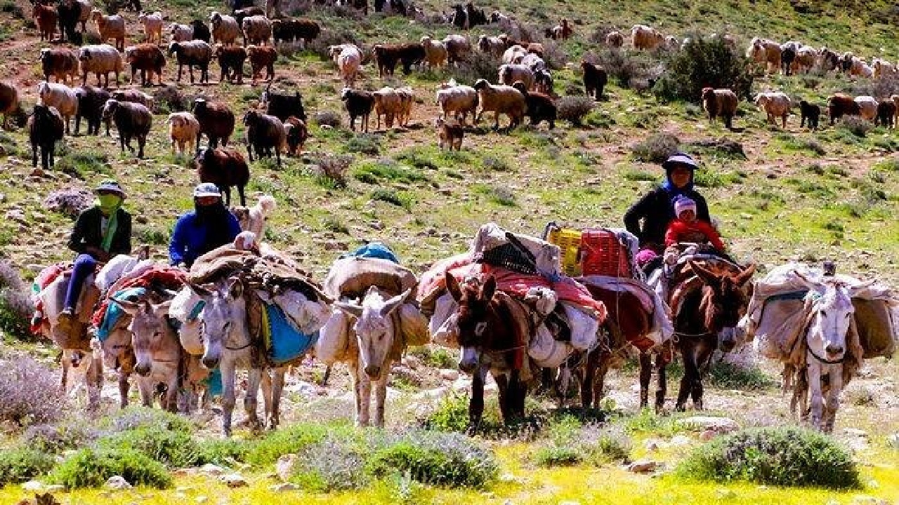 وقتی کوچ، مقصد گردشگری می‌شود؛ رؤیای پیوند طبیعت لرستان با زندگی عشایری