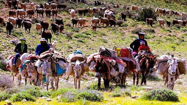 وقتی کوچ، مقصد گردشگری می‌شود؛ رؤیای پیوند طبیعت لرستان با زندگی عشایری