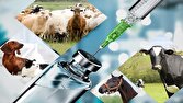 آغاز عملیات سراسری واکسیناسیون تب برفکی/صیانت از ۶۵ میلیون راس دام