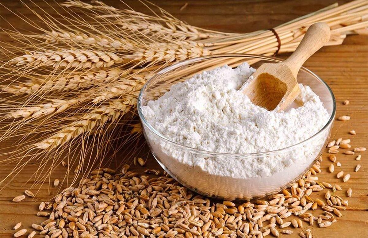 باشگاه خبرنگاران -سرانه مصرف ماکارونی به ۱۰ کیلو رسید/ قیمت ماکارونی تا پایان مهر نوسانی ندارد