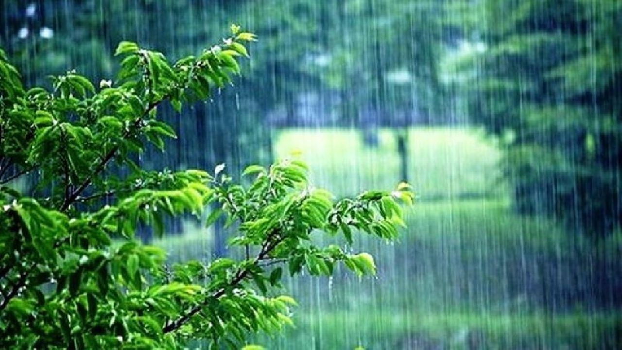 بارندگی در زنجان ادامه دارد