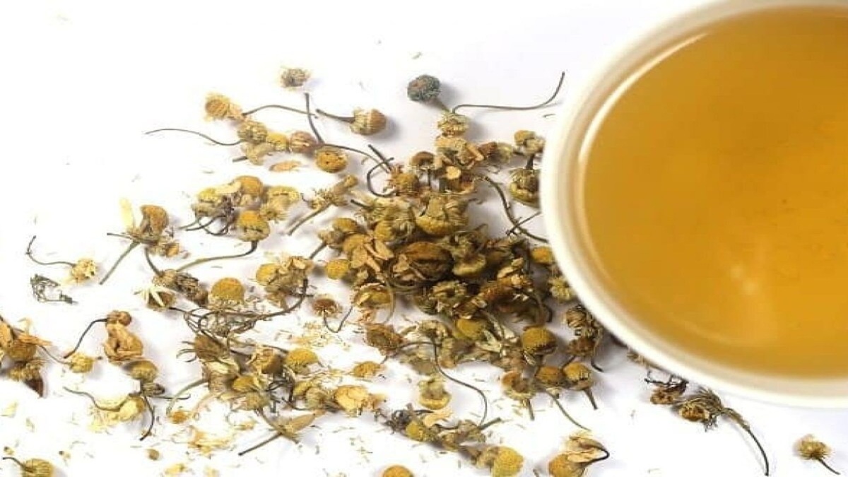 باشگاه خبرنگاران -این چای زردرنگ را کمتر کسی می‌شناسد؛ خواصی که غافلگیرتان می‌کند