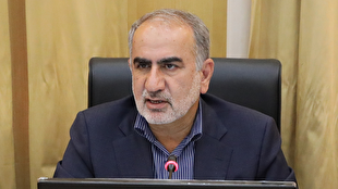 بازار طلا نیازمند تنظیم‌گری جدی است/ سکوهای آنلاین نباید به سمت قیمت‌سازی یا ایجاد التهاب در بازار حرکت کنند