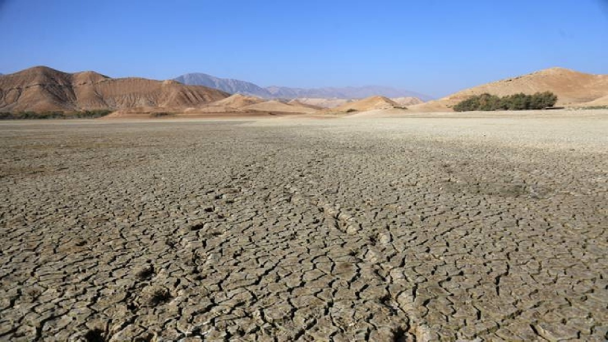 باشگاه خبرنگاران -۱۶ دشت استان بوشهر ممنوعه و بحرانی است