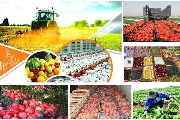 دلالان محصولات کشاورزی را ارزان می‌خرند و گران می‌فروشند