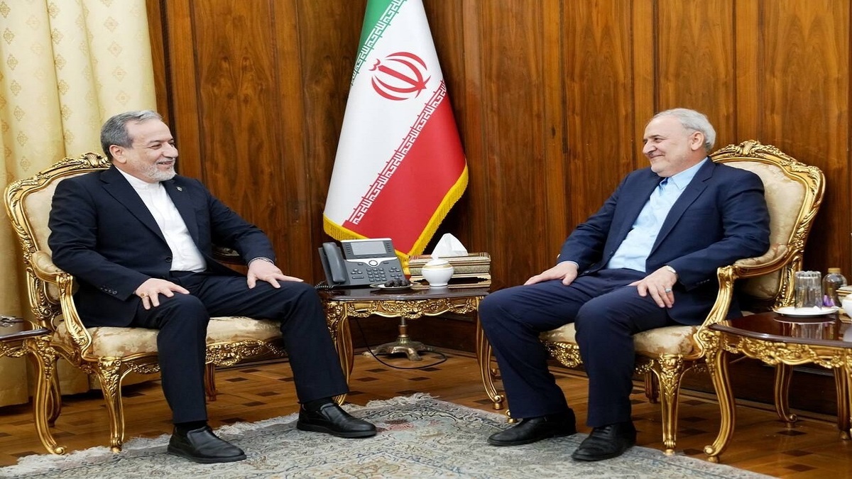 باشگاه خبرنگاران -دیدار سفیر جمهوری اسلامی ایران در پاکستان با عراقچی
