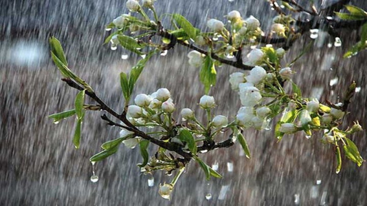 نمایی از بارش تگرگ در قزوین به وقت تابستان + عکس