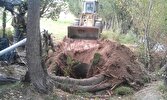 ۳۸۰ هزار حلقه چاه غیر مجاز در بخش کشاورزی