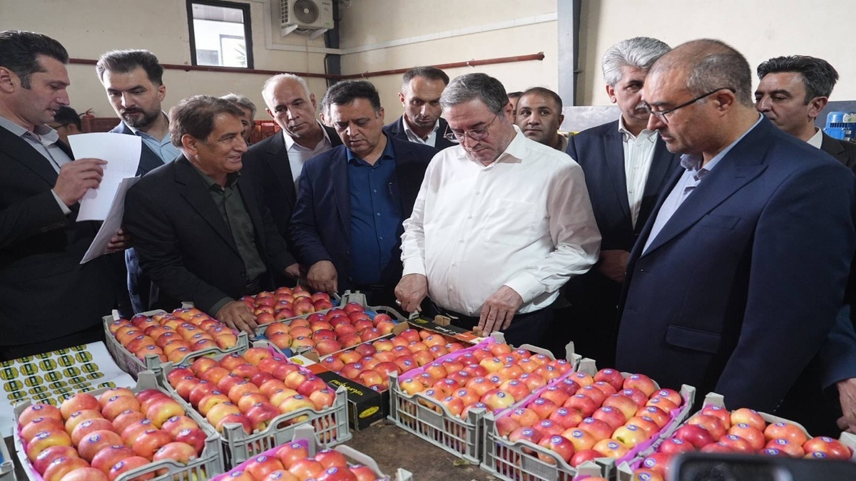 باشگاه خبرنگاران -بهره‌برداری از واحد سورتینگ و سردخانه ۲ هزارتنی در مهاباد