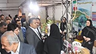 تبدیل وضعیت نیرو‌های شرکتی امسال به سرانجام می‌رسد