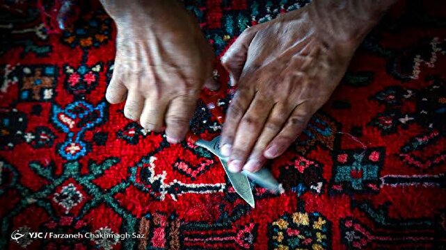 دولت ۷۰ درصد هزینه بیمه قالیبافان را می‌پردازد