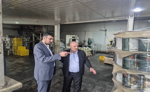اخطار زیست&zwnj;محیطی دادستان رودبار به واحد&zwnj;های فرآوری زیتون