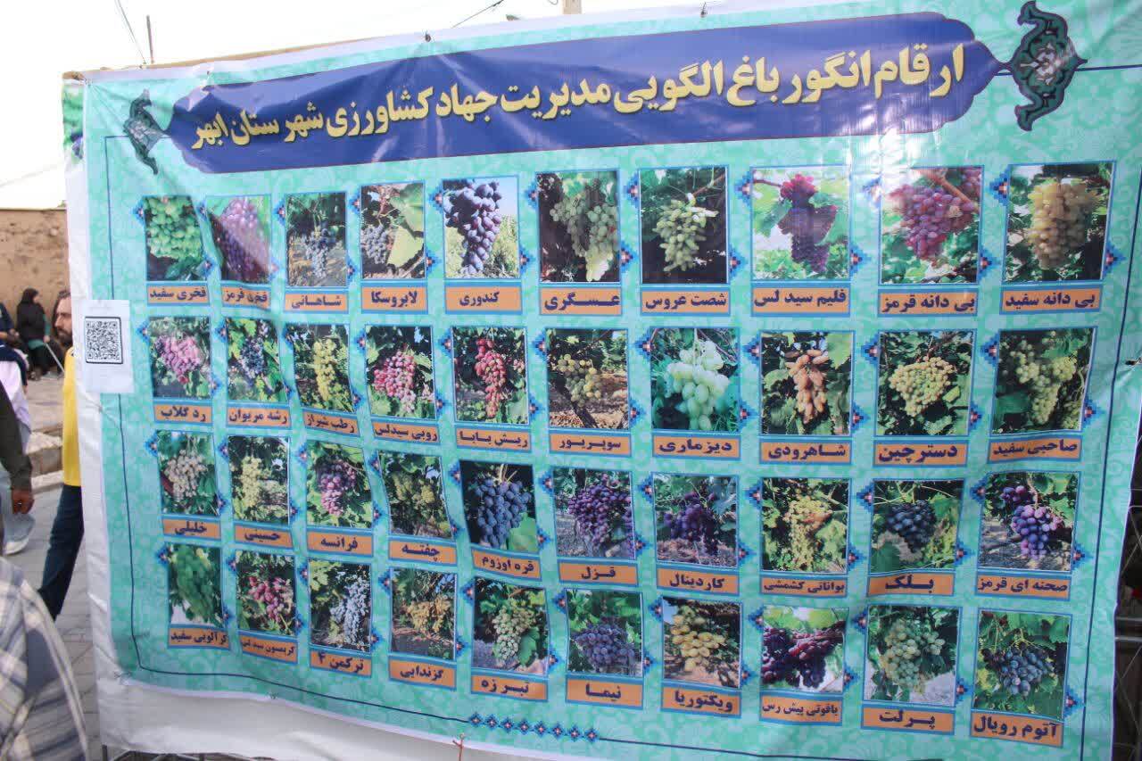 برگزاری چهارمین جشنواره انگور ابهر در روستای تاریخی و زیبای درسجین