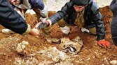 کشف پیکر مطهر یک شهید در طلاییه