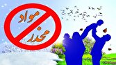 دبیر شورای مبارزه با مواد مخدر یزد: هیچ خانواده‌ای، خود را از خطر اعتیاد مصون نداند