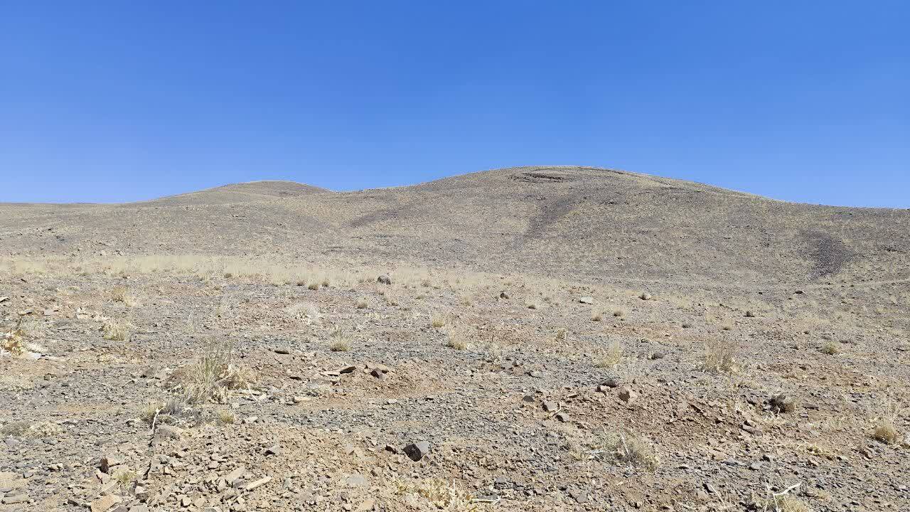 ایجاد ۷۰ هکتار باغدار در اراضی روستای شوراب صغیر سامان