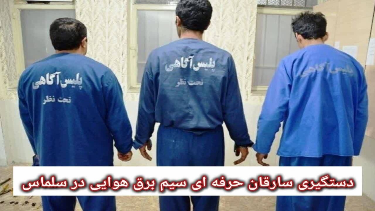 دستگیری سارقان حرفه ای سیم کابل برق با ۲۵ فقره سرقت در سلماس