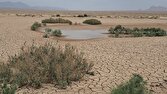 گزارش ویژه: واگذاری ۱۱ هزار هکتار از کانون‌های ریزگرد خوزستان به قرارگاه کربلا | باشگاه خبرنگاران جوان - کد 1536