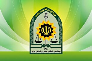دستگیری فوری عاملان نزاع منجر به قتل در سیرجان