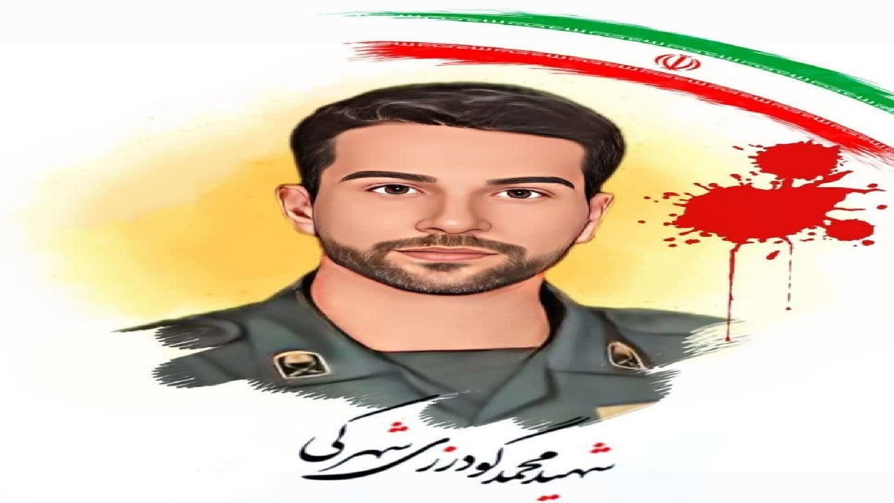 از شمع تولد تا شمع مزار/ روایت دختر نوجوان از شهید محمد گودرزی+فیلم