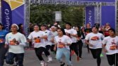 اعلام جرم دادستانی تهران علیه عوامل و دست‌اندرکاران برگزاری «دو مارتن تهران»