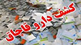 کشف محموله چند ده میلیارد تومانی دارو در جنوب تهران + فیلم
