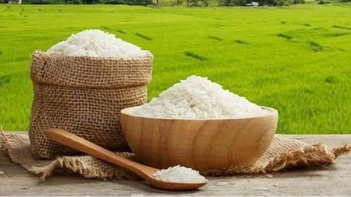 باشگاه خبرنگاران -رونمایی از نخستین طرح مزارع الگوی برنج در سطح کشور در استان مازندران