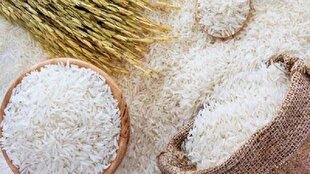 قیمت هر کیلو برنج مرغوب در استان‌های شمالی ۳۸۰ هزار تومان
