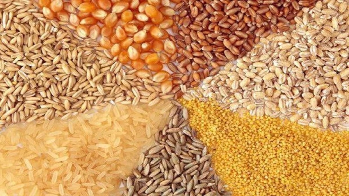 باشگاه خبرنگاران -جریمه، تاوان ثبت نکردن نهاده دامی در سامانه جامع انبار‌ها