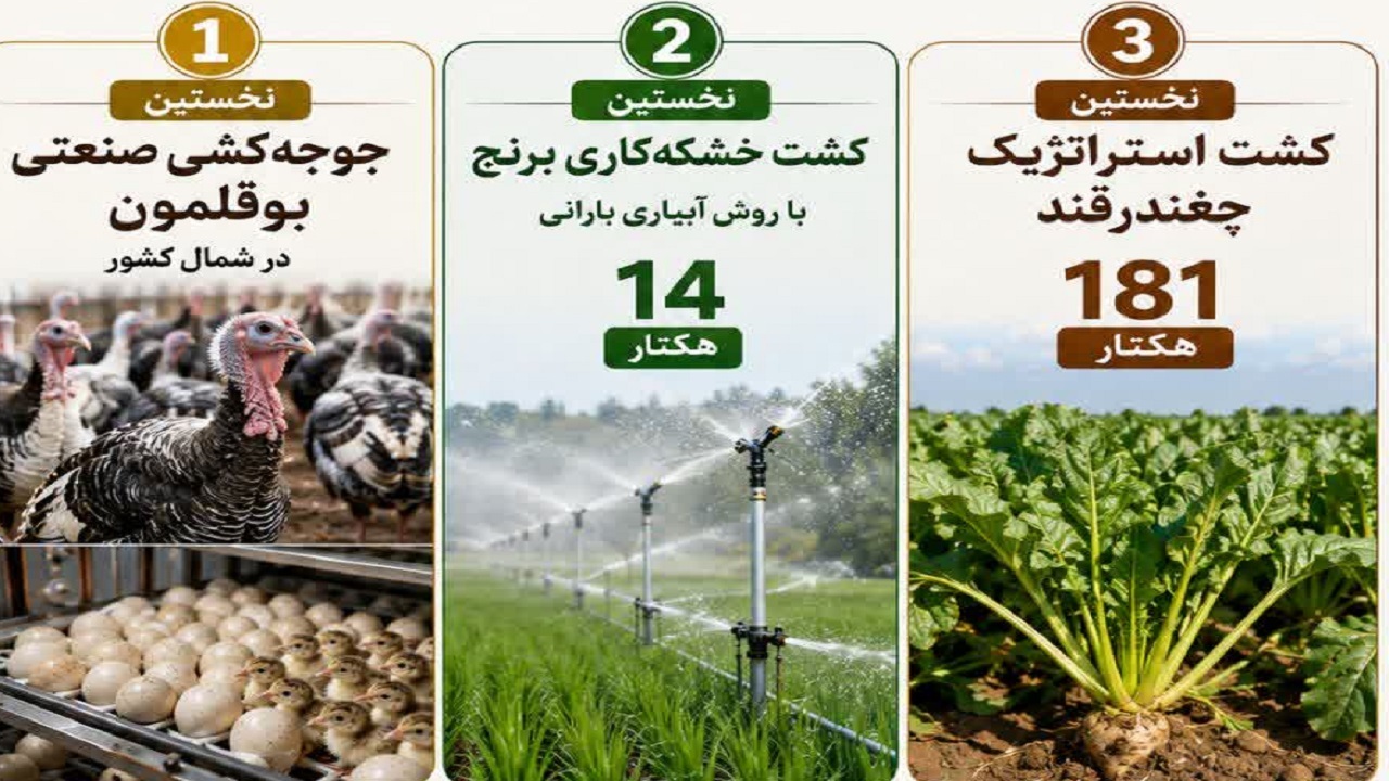 تحقق اولین‌های کشاورزی در میاندورود