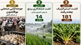 تحقق اولین‌های کشاورزی در میاندورود