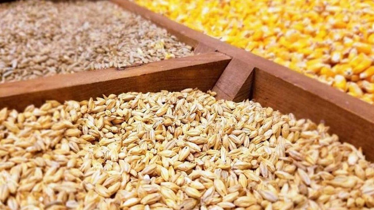 دستور رئیس جمهور برای پرداخت فوری مطالبات ارزی واردکنندگان به کجا رسید؟