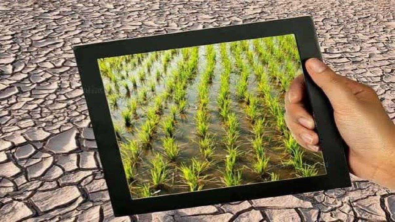 ضرب‌الاجل جهاد کشاورزی چالوس برای احیای اراضی بایر؛ ۷۲ مورد در مسیر چرخه تولید