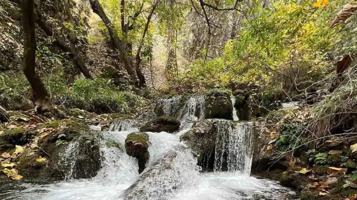 باشگاه خبرنگاران -طبیعت زیبای شهرستان لردگان در تابستان ۱۴۰۵ + فیلم