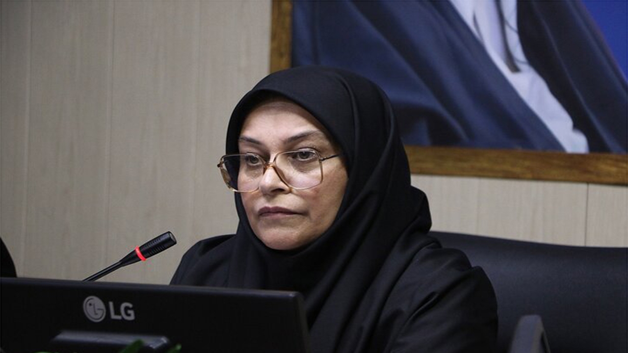 تجهیز ۷ تالاب فارس به دوربین‌های پایش آنلاین و پیگیری خرید پهپاد