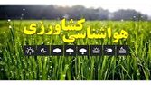 گزارش ویژه: کشاورزان از سم‌پاشی و کودپاشی مزارع و باغات اجتناب کنند | باشگاه خبرنگاران جوان - کد 20d4