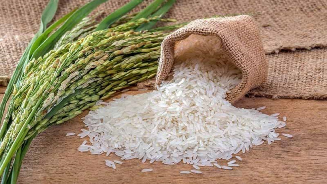 تولید برنج به ۲ میلیون و ۳۰۰ هزار تن می‌رسد