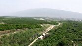 سیاب بهشت خنک کوهدشت؛ جایی میان آب، کوه و انارستان های زیبا