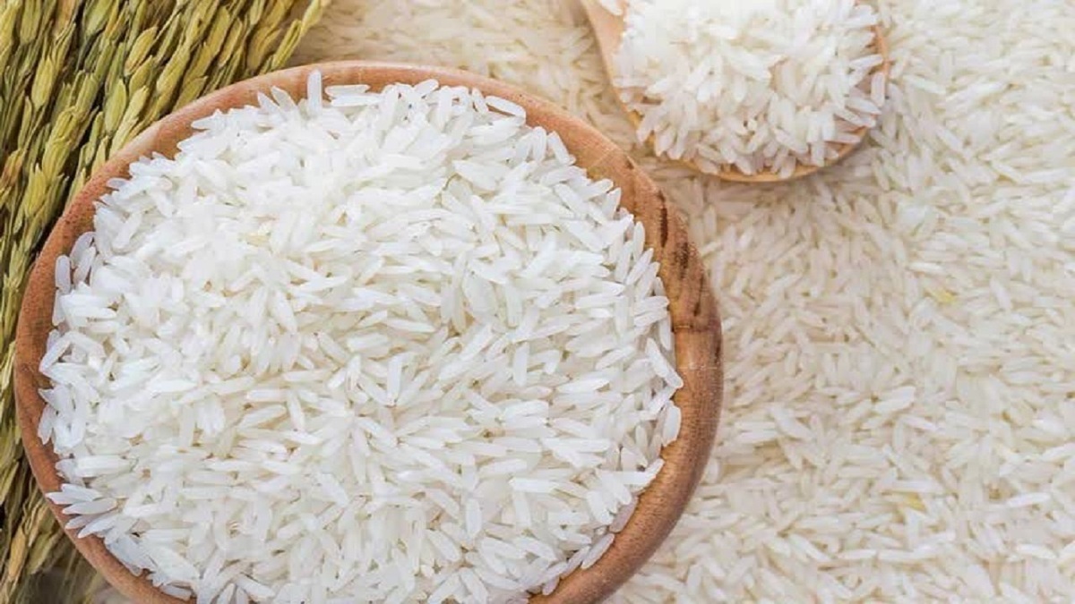 باشگاه خبرنگاران -تولید بیش از ۸۸ هزار تن برنج سفید، ارمغان شالیزار‌های محمودآباد برای ایرانی ها