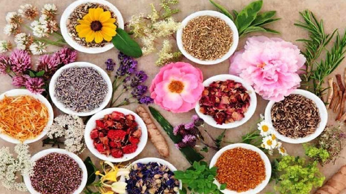 باشگاه خبرنگاران -تنوع گیاهی ایران را به قطب صادرات محصولات ارگانیک‌ تبدیل می کند
