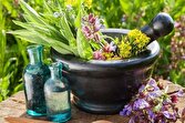 گلایه از فرصت‌سوزی در صادرات گیاهان دارویی